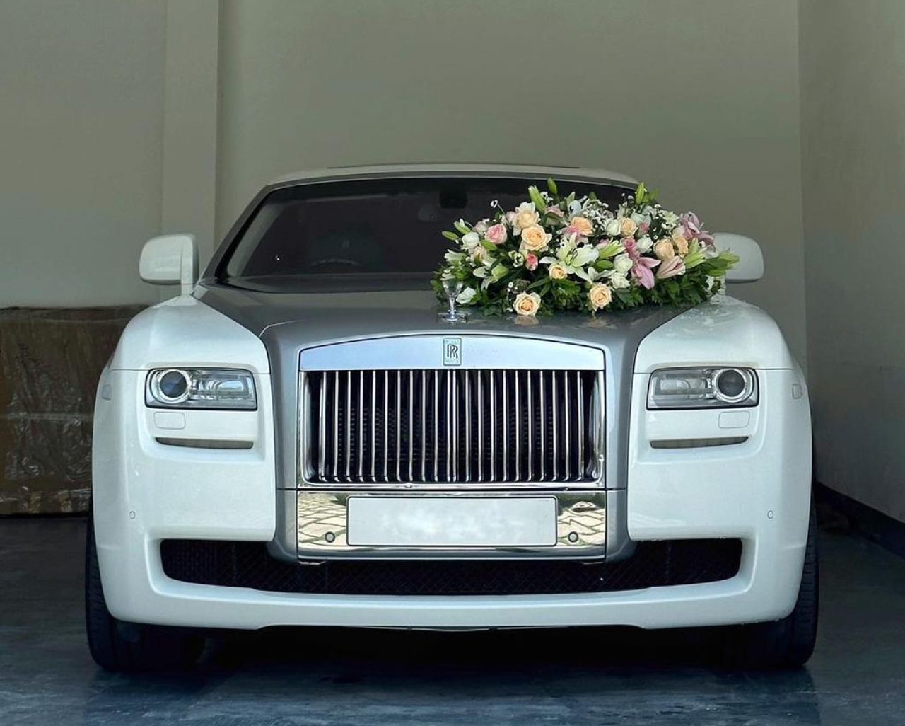 img 20251110 wa0039 copy